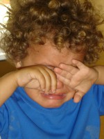 /album/galeria/dsc09964-jpg/